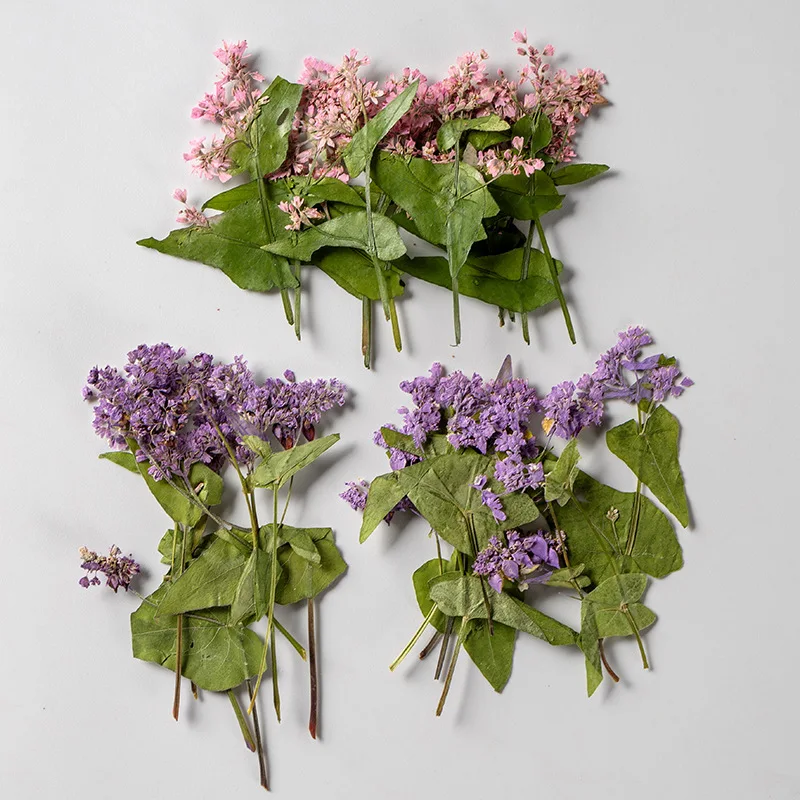 Dried Flower Bookmark - Pressed Buckwheat Flower, Real Dried Flower,