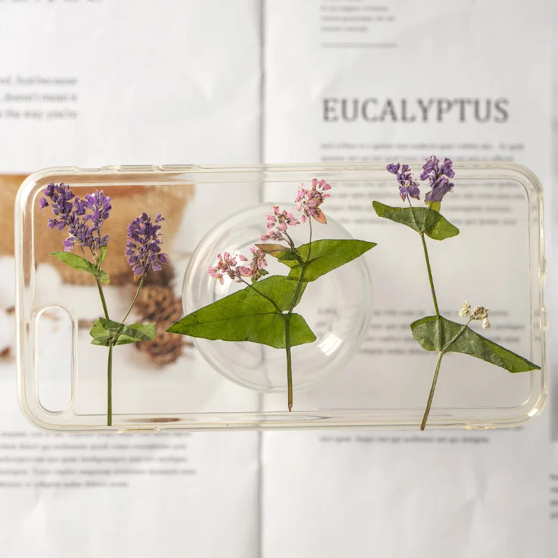 Pressed Buckwheat Flower, Real - Dried Flower Bookmark review and price