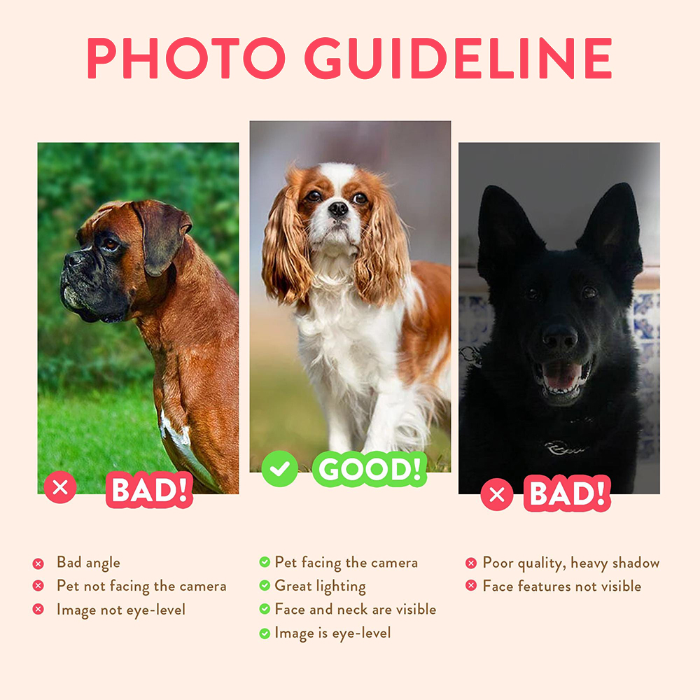 Personalized Pet Portraits Pho - Pet Portrait Custom review and price