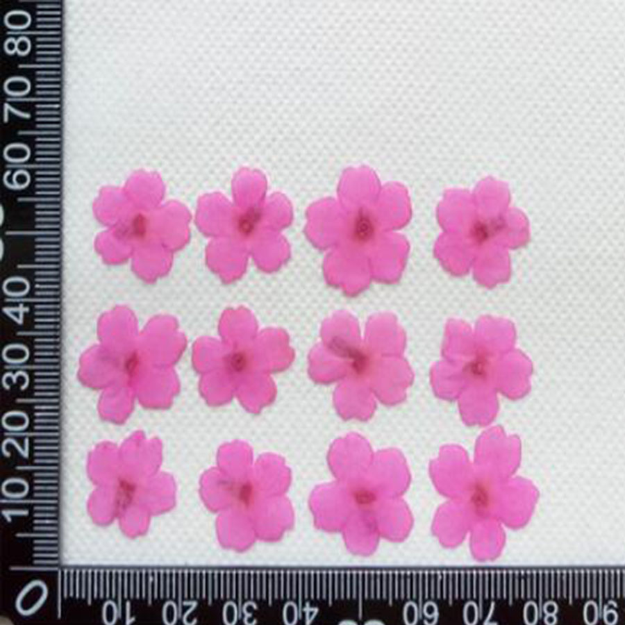 60pcs 1-2cm Pressed Dried Dyed - Dried Flower Bookmark review and price